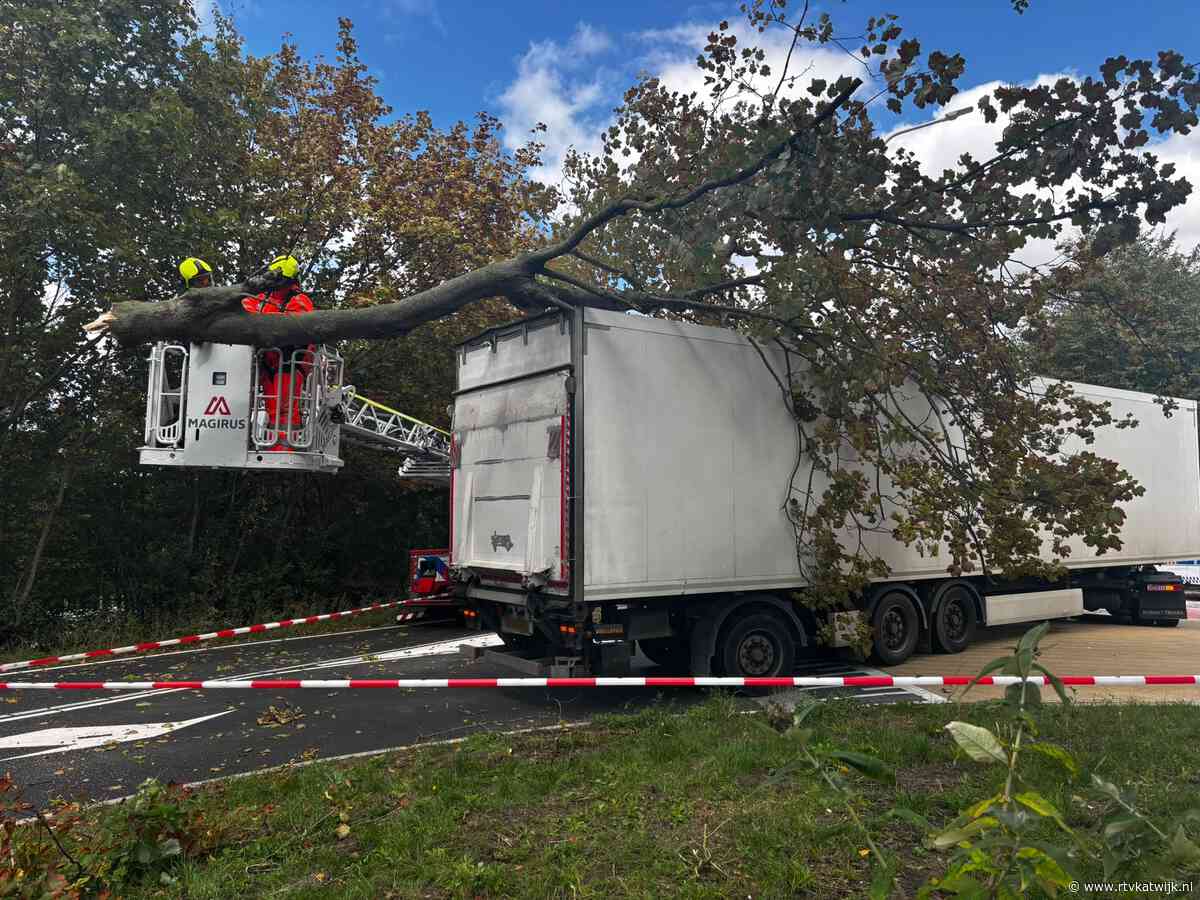 Tak valt op vrachtwagen die boom raakt in Katwijk