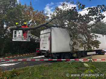 Tak valt op vrachtwagen die boom raakt in Katwijk