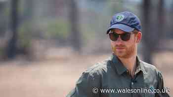 Prince Harry steps down from controversial charity as he returns to live in UK
