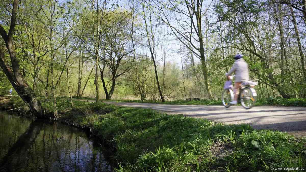 Frau auf Alsterwanderweg erstochen – Täterin soll nach dem Angriff geprahlt haben