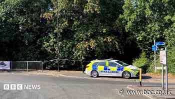 Man arrested over rape of girl,14, in wooded area