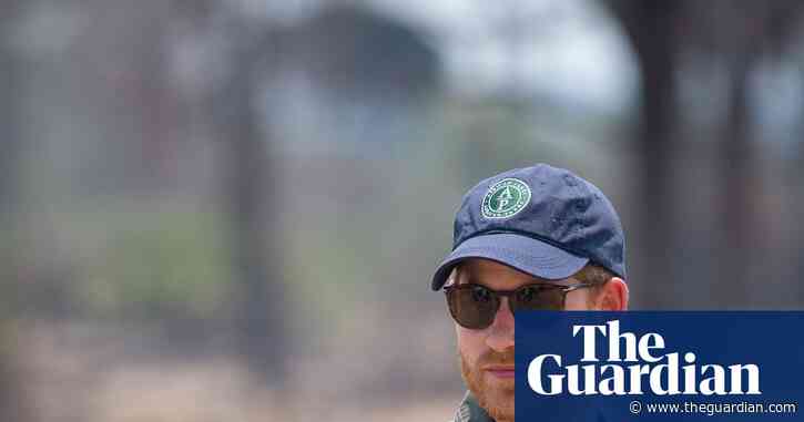 Prince Harry quits board of wildlife charity after rangers’ human rights abuses