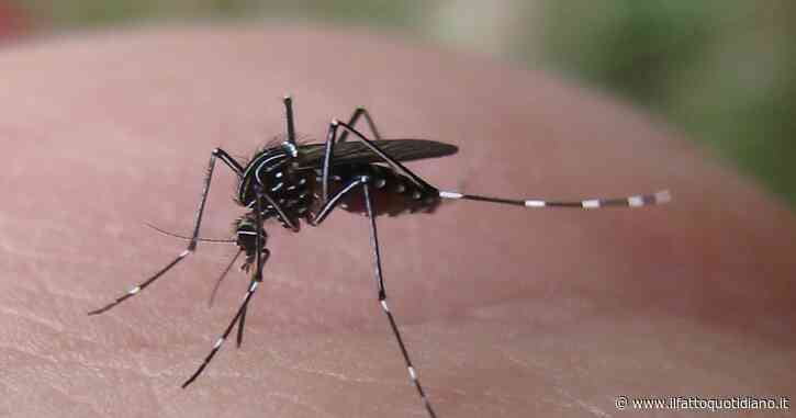 West Nile, 72enne morta nel Napoletano. Salgono a 24 i casi accertati a Oristano: “Contagi più frequenti che in passato”
