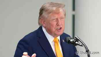 Trump eyes changing Lake Ontario name amid trade war with Canada