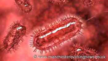 Customers issued urgent 'do not consume' warning as sandwiches recalled over E.Coli risk