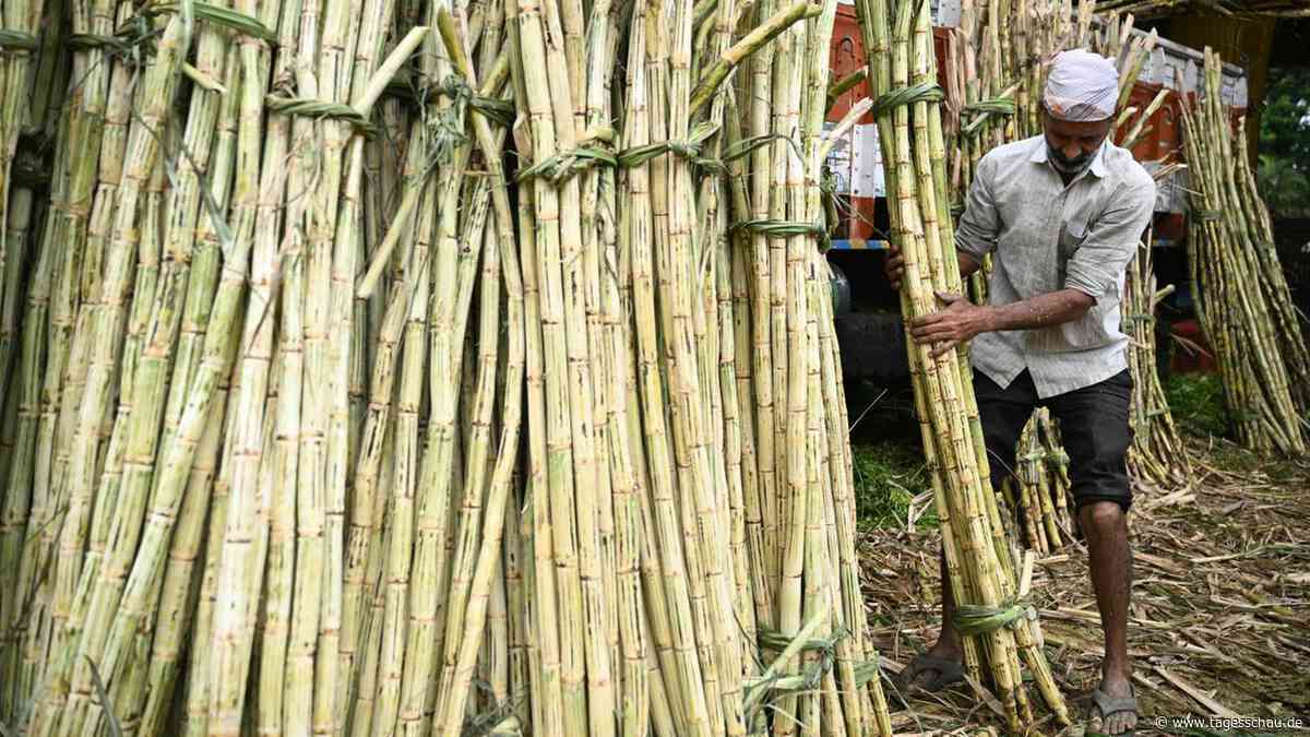 Indien: Preise für Zucker verdoppelt - Knappheit droht