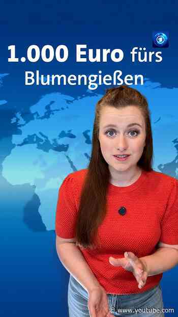 Bereits im vergangenen Winter hatte es im Kreis Siegen-Wittgenstein zu wenig geregnet. #tagesschau