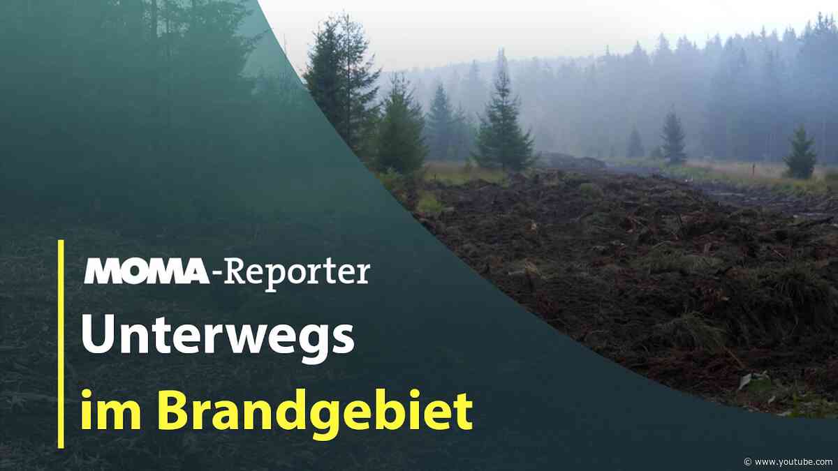 MOMA-Reporter: Unterwegs im Brandgebiet | ARD Morgenmagazin