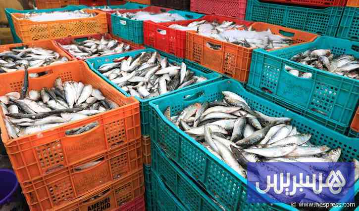 مفرغات الصيد بالعيون ترتفع بـ56 بالمائة