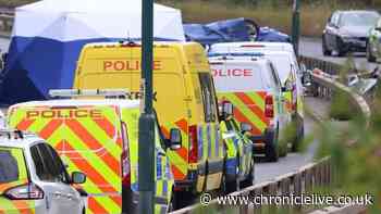 Five more arrests in connection with fatal A66 crash - including boy, 16