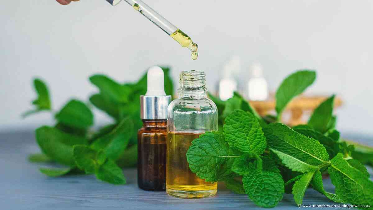 Households urged to spray peppermint oil around windows and doors this week