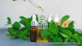 Households urged to spray peppermint oil around windows and doors this week