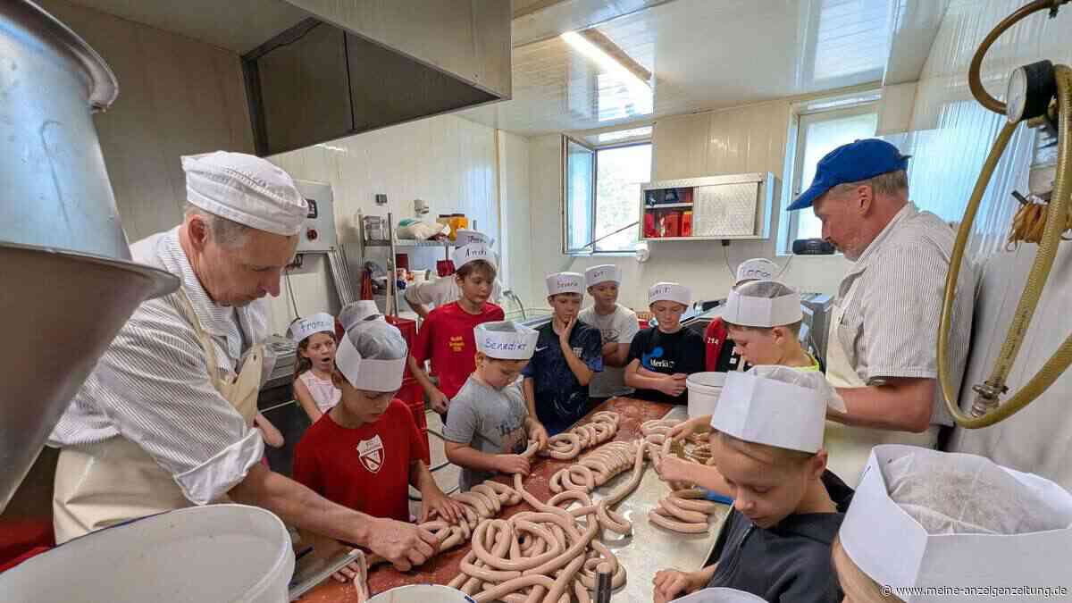 Metzgerei zeigt Kindern, wie aus Schweinehälften Wiener werden