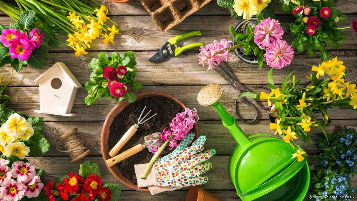Free £10 to spend at YouGarden