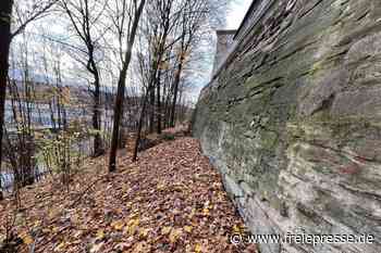 Marode Stadtmauer in Adorf: Ein Statiker ist nötig