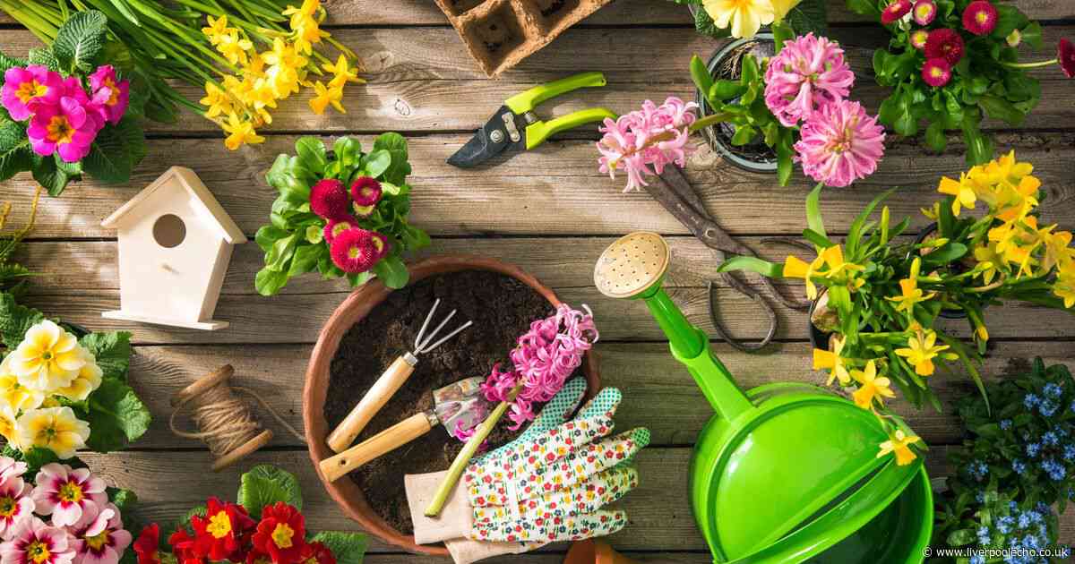 AD FEATURE: Free £10 to spend at YouGarden