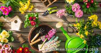 AD FEATURE: Free £10 to spend at YouGarden