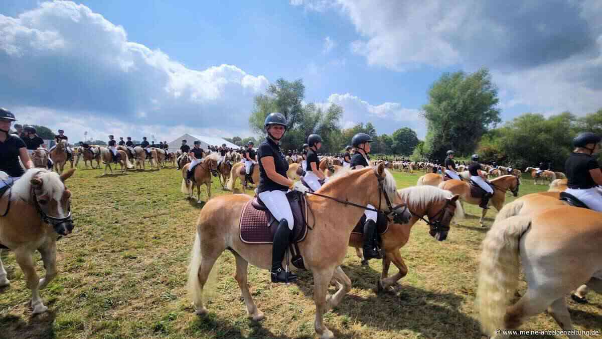 Weltrekord-Quadrille bei Reit-WM in Aachen – und eine Röhrmooserin ist mit ihrem Pferd dabei