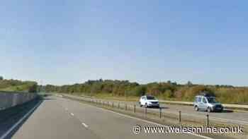 Stolen taxi seen travelling on wrong side of busy Welsh road