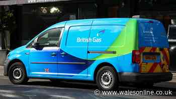 British Gas message for customers making 'big decision' over heating