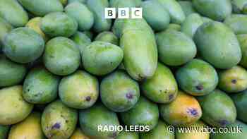 Mango Madness In West Yorkshire!