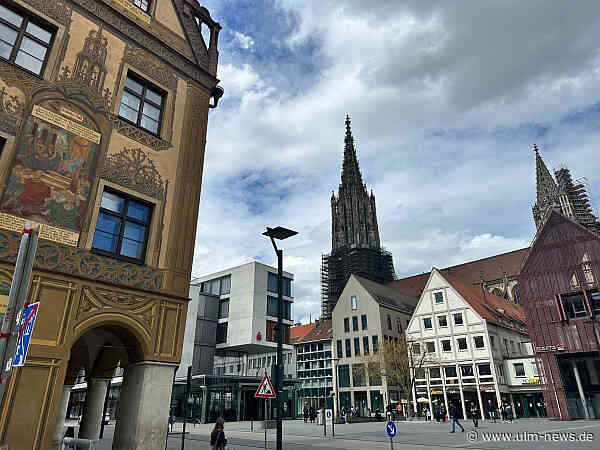 Mülleiner voll, Ampel geht nicht, Spielplatz-Schaukel kaputt - der Mängelmelder der Stadt Ulm mit 3.600 Meldungen