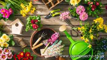 Free £10 to spend at YouGarden