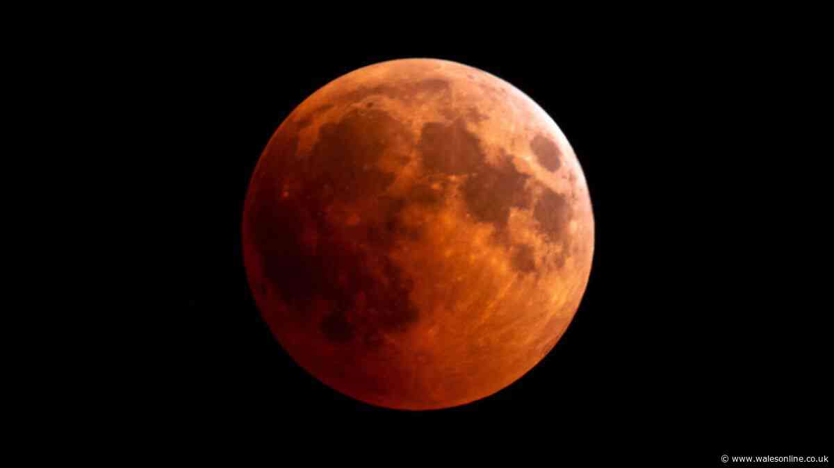 'Best' lunar eclipse in years hits UK this week - make sure to set your alarm
