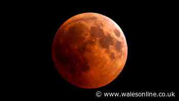 'Best' lunar eclipse in years hits UK this week - make sure to set your alarm