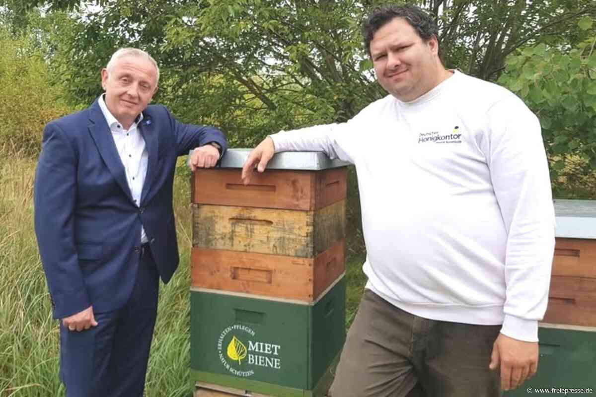 Warum ein Ellefelder Unternehmen Mietbienen beschäftigt