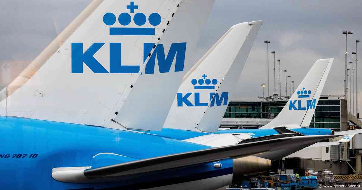 Bekend bedrijf dat passagiers hielp om geld terug te krijgen bij uitval van vlucht, is failliet: slachtoffer van eigen succes