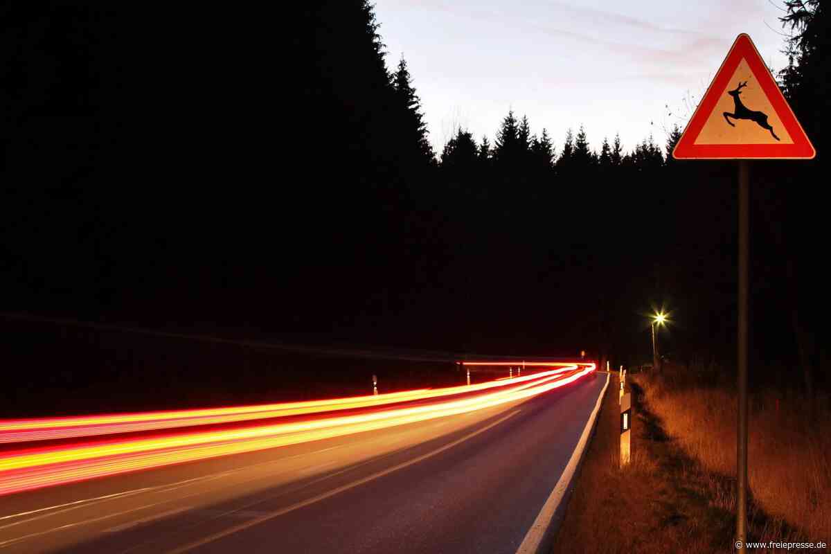 Unfall in Sehmatal: 19-Jähriger fährt gegen Baum