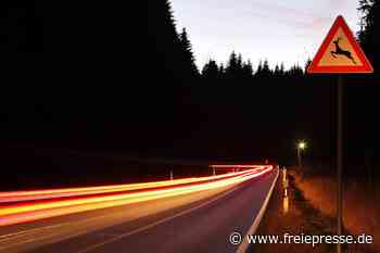 Unfall in Sehmatal: 19-Jähriger fährt gegen Baum