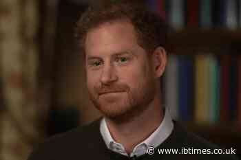 Prince Harry Leaves African Parks Board After Charity Admits Human Rights Abuses, Including Torture Claims