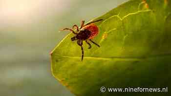 Ze zeggen dat chronische lyme niet te genezen is. Deze kliniek zegt van wel