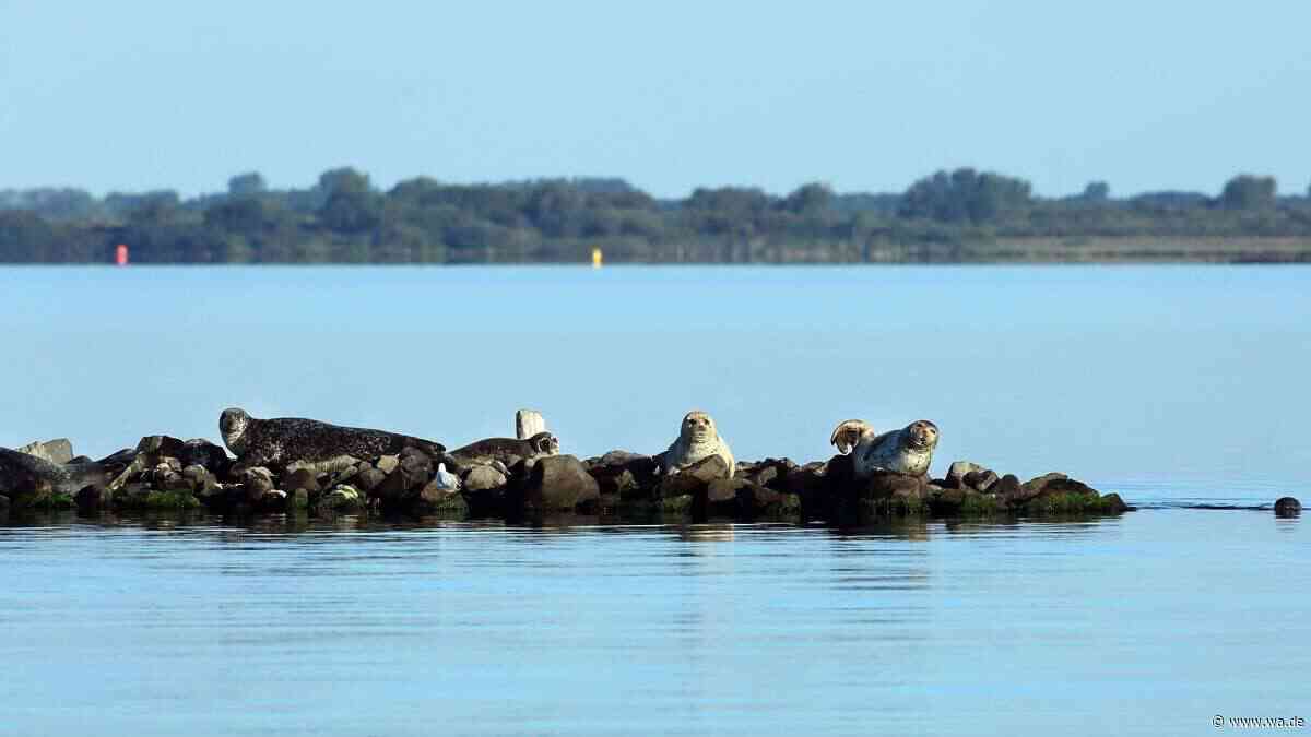Größter Salzwassersee Westeuropas befindet sich in den Niederlanden