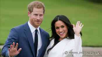 Richard Osman tips Prince Harry to star on huge TV show that he would be 'great' on