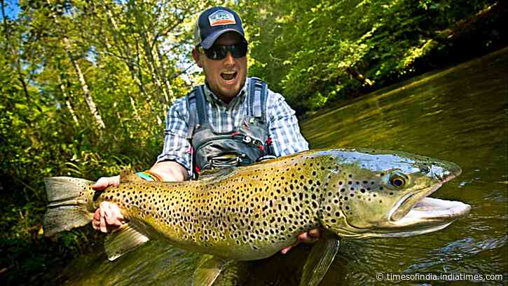 In 1867, New Zealand introduced brown trout for sport fishing; more than 60 million were released