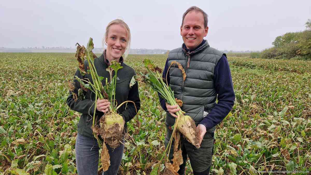 Hitzewelle im Kreis Wolfenbüttel: Landwirte bangen um ihre Existenz