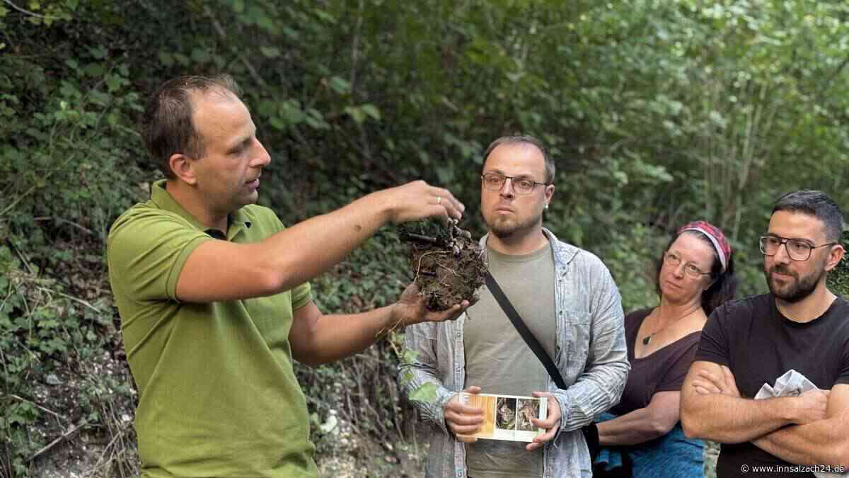 Waldbrände und Käfer-Invasion: Wie sich der Mühldorfer Wald gegen Gefahren rüstet