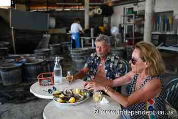 Eighth person dies from flesh-eating bacteria linked to oysters in US