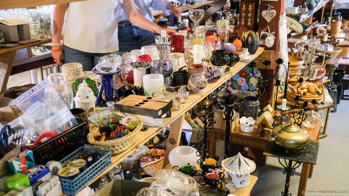 Charity shopper 'hits the jackpot' after finding Emma Bridgewater bargain in store
