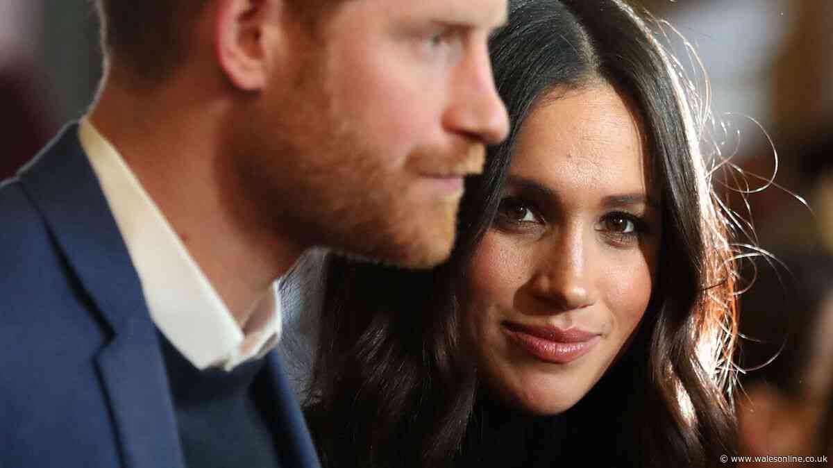 Prince Harry tipped for BBC show by Richard Osman after 'very good' podcast appearance