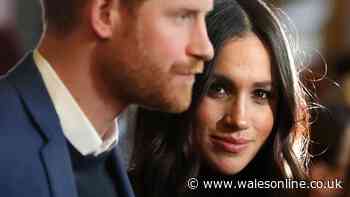 Prince Harry tipped for BBC show by Richard Osman after 'very good' podcast appearance