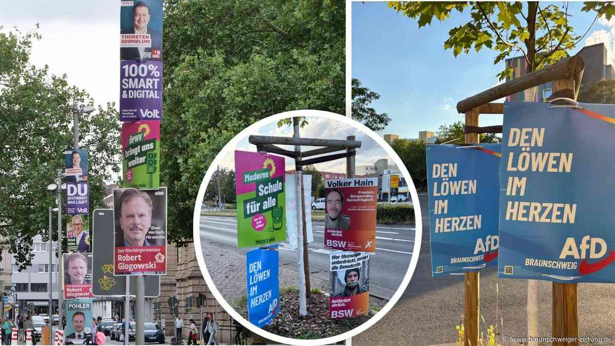 Kaum AfD-Plakate in der Braunschweiger Innenstadt – welche Strategie dahintersteckt