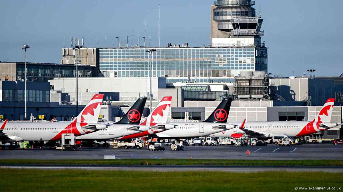 Onlookers 'screamed' as airport worker 'run over' and killed by plane