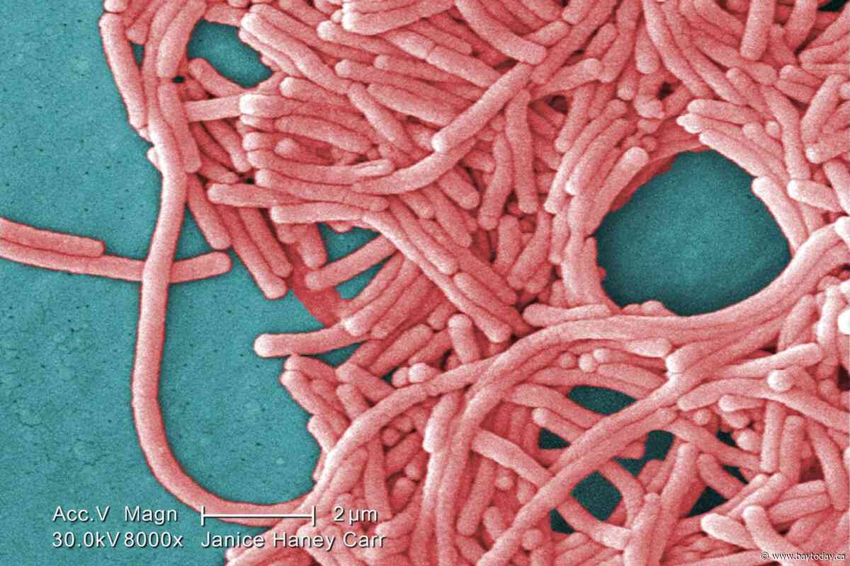 TTC cooling tower source of legionnaires' disease outbreak in Toronto: public health