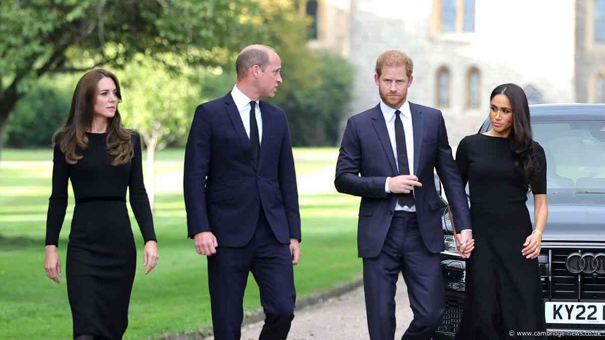 Prince William's main issue with Prince Harry 'exposed' after feeling 'utterly abandoned'