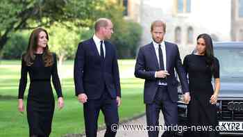 Prince William's main issue with Prince Harry 'exposed' after feeling 'utterly abandoned'
