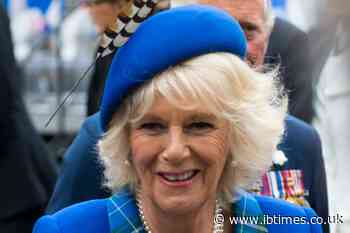Queen Camilla Reportedly Offered Prince Harry Tea and an Olive Branch During Secret Family Meeting